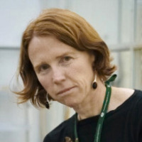 Hill, Jane K 照片