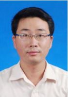 向葵 照片