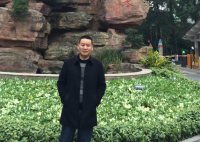 杨华 照片