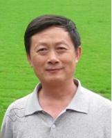 龚炜 照片