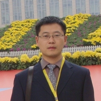 赖于树 照片
