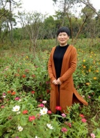 代月花 照片