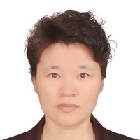 伏静丹 照片