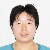 杨树叶 照片