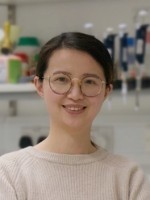杨涵婷 照片