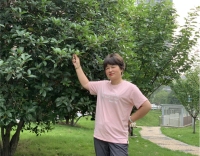 杜鹃 照片