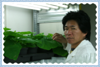 陈发兴 照片