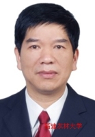 陈辉 照片