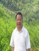 洪伟 照片