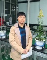 阙友雄 照片