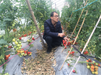 钟凤林 照片