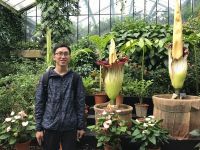 王敏 照片