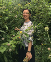 方素栎 照片