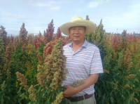 沈宝云 照片