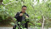 杨宝生 照片