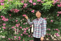 王芳 照片