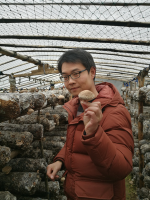 杨进 照片